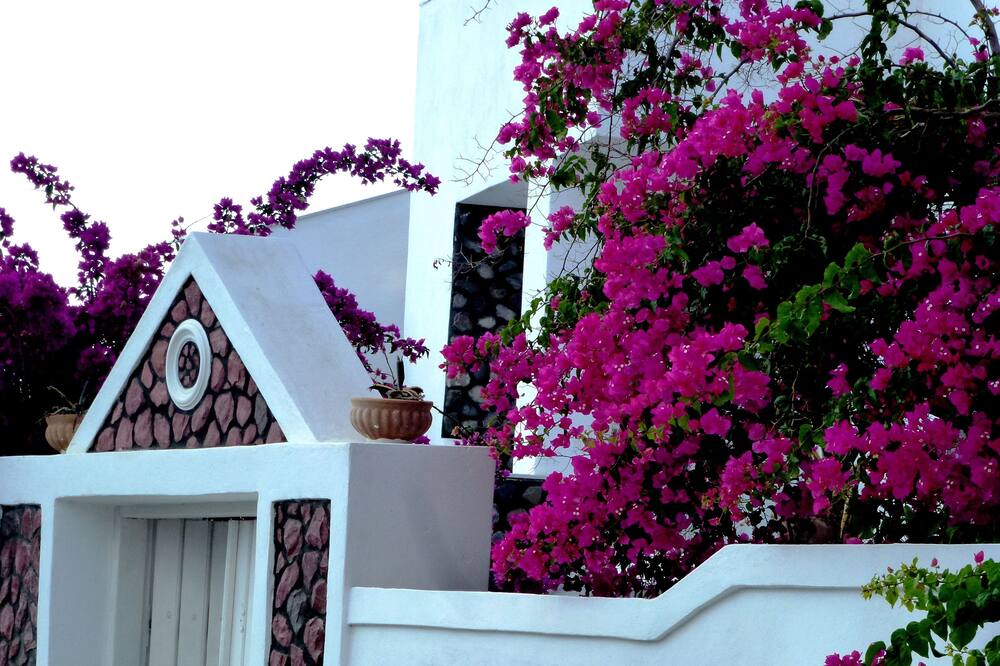 アタロス スイーツ 写真