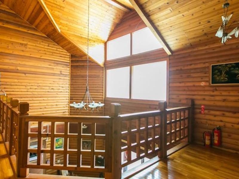 シンジン ブリリアント ツインズ オブ シアトル 写真