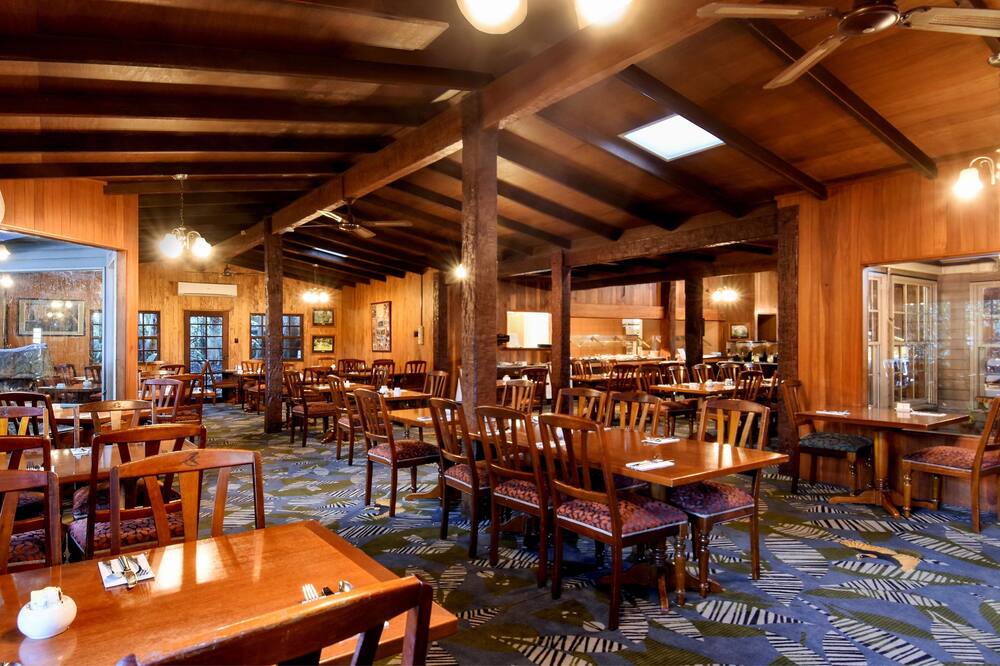 オライリーズ レインフォレスト リトリート 写真