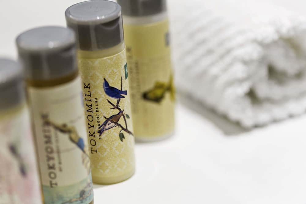 ルネッサンス ウィーン シェーンブルン ホテル 写真