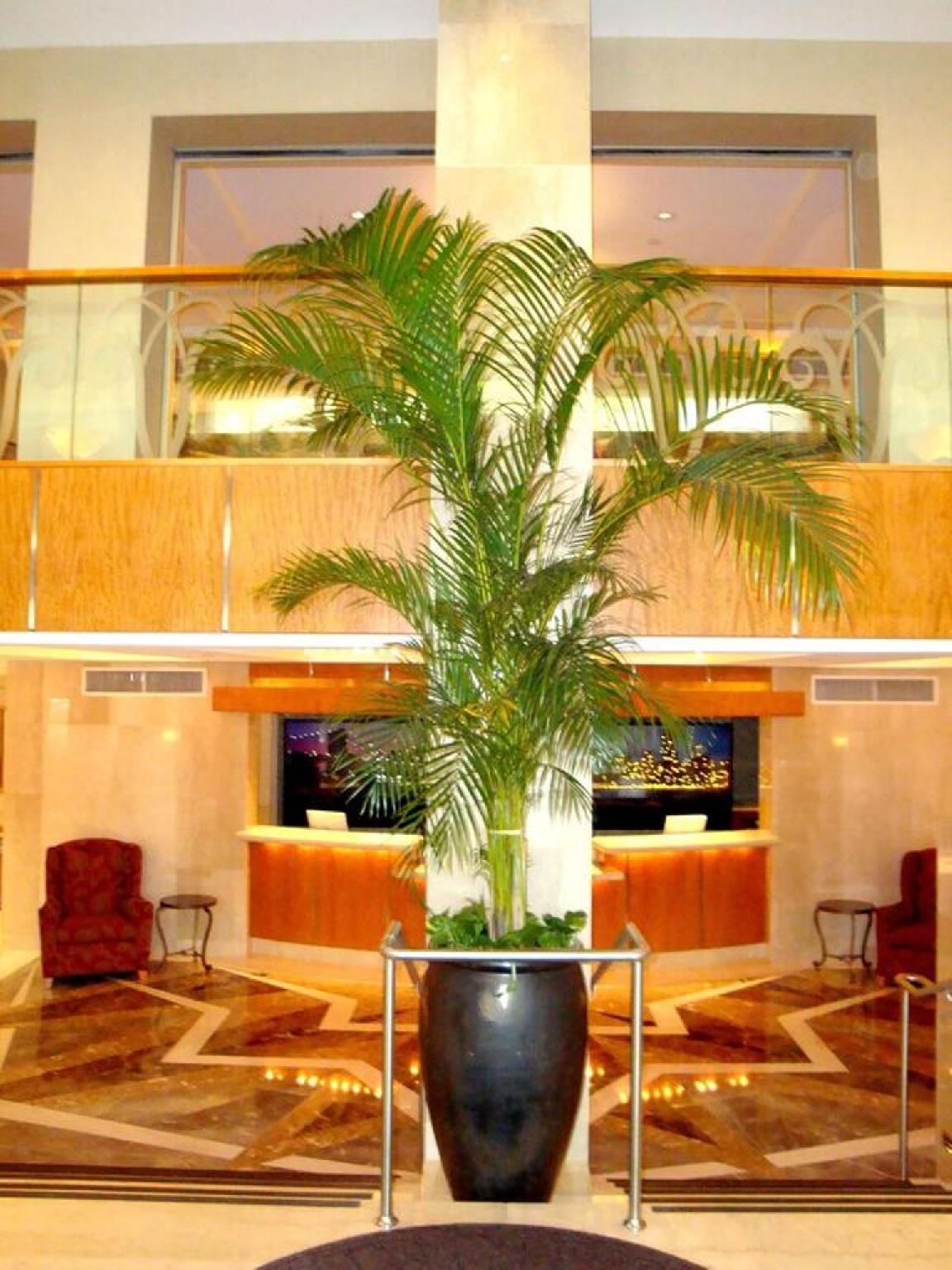 サン カルロス ホテル 写真