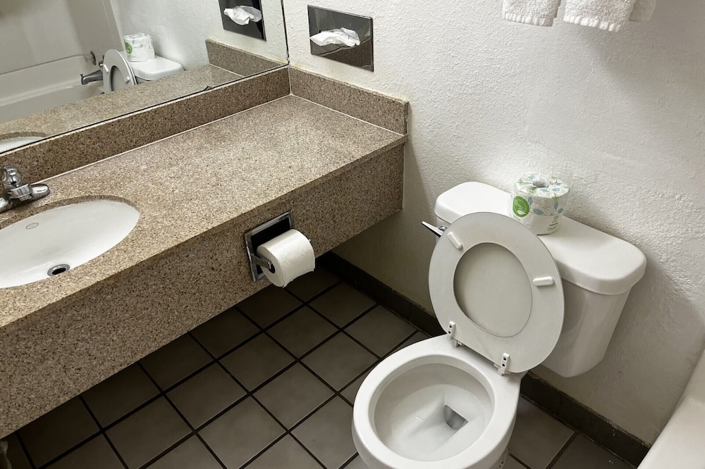 バジェット イン 写真