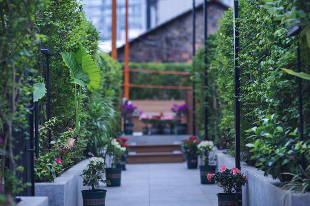 From.K Hotel Changsha Wuyi Square IFS 写真