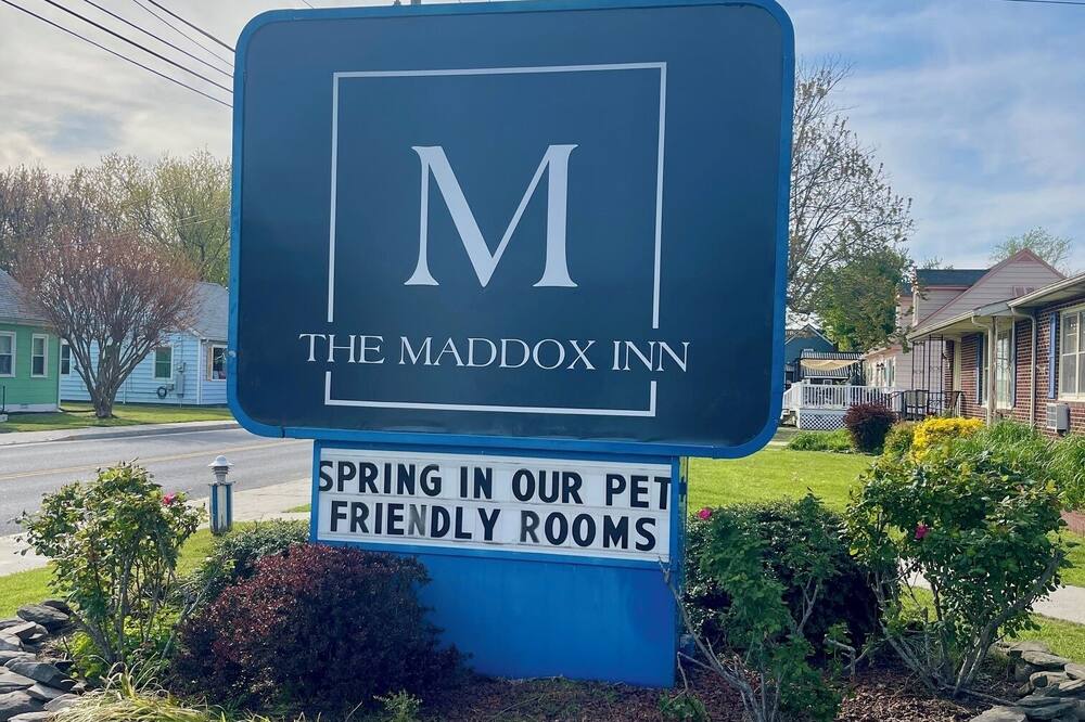 マドックス イン 写真