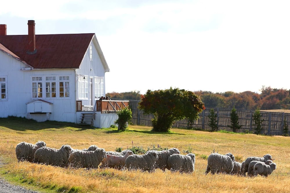 ホテル ラス トーレス パタゴニア 写真