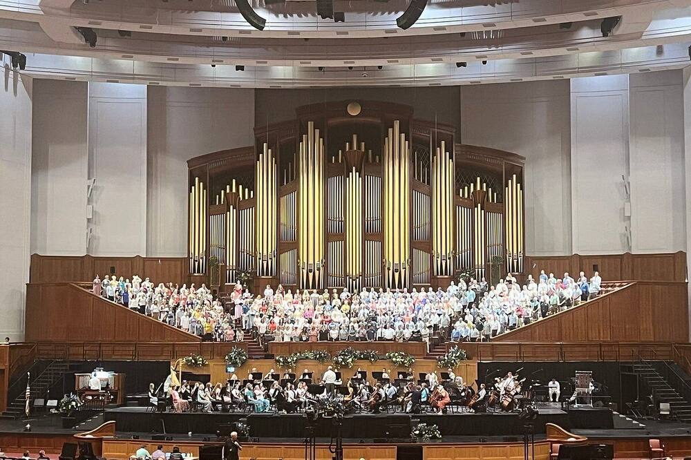 ザ キンボール 写真