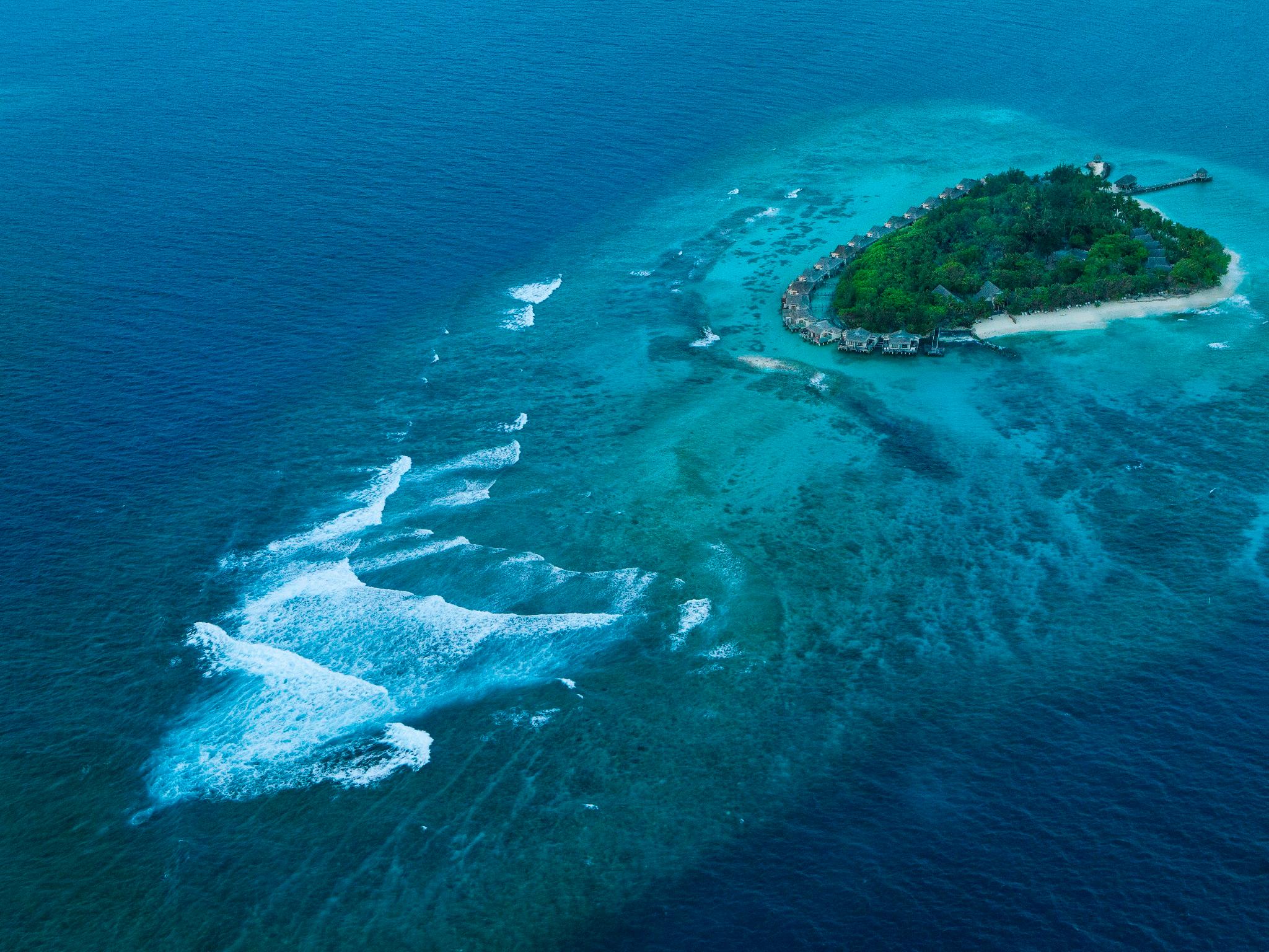 タージ コーラル リーフ リゾート アンド スパ モルディブ - プレミアム オール インクルーシブ ウィズ フリー トランスファーズ 写真