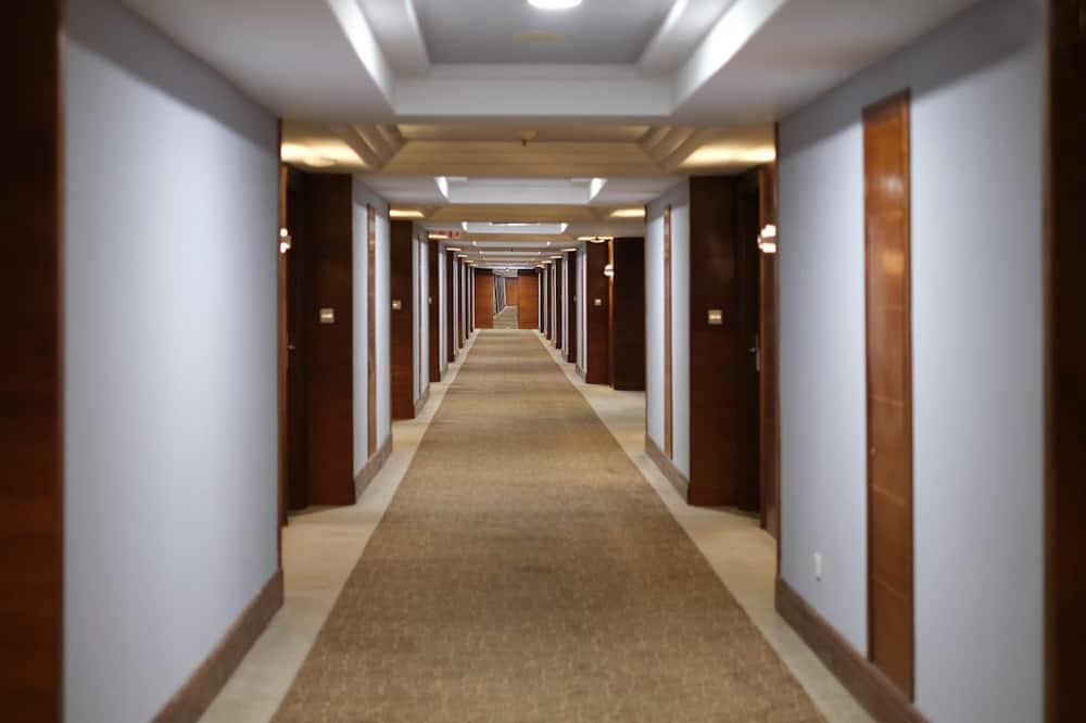 クラシック ホテル 写真