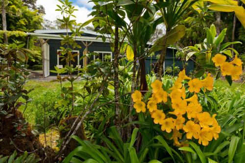 ハレオフ ベッド アンド ブレックファースト 写真