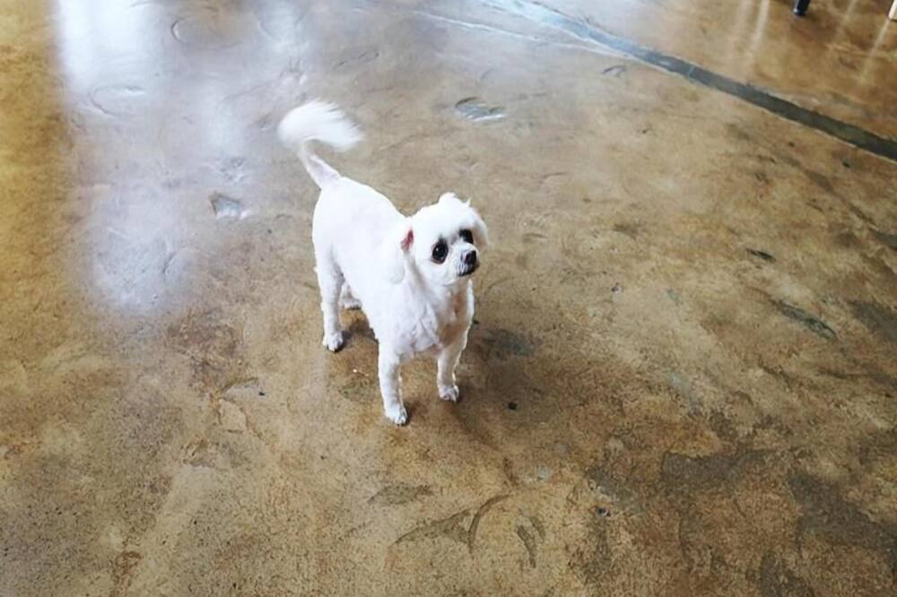 ジェームズ ブルー ゲストハウス 写真