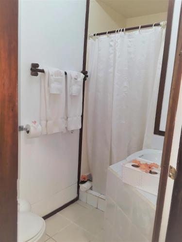 Maya Mountain Lodge & Tours 写真