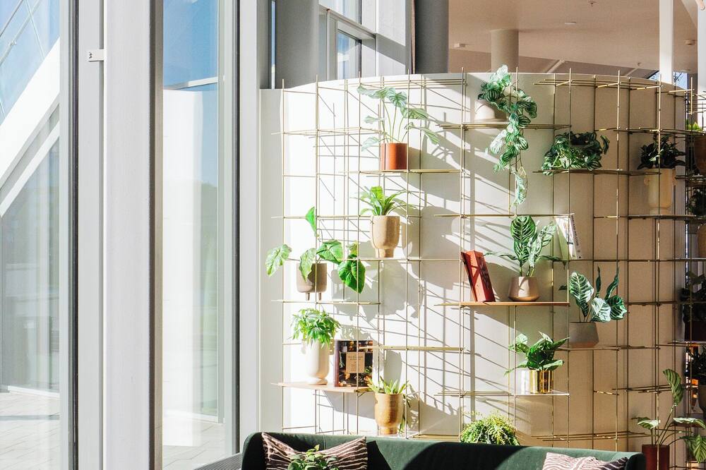 クラリオン ホテル シー ユ 写真