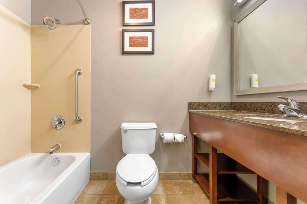 コンフォート  イン & スイーツ ポーター ニア インディアナ デューンズ 写真