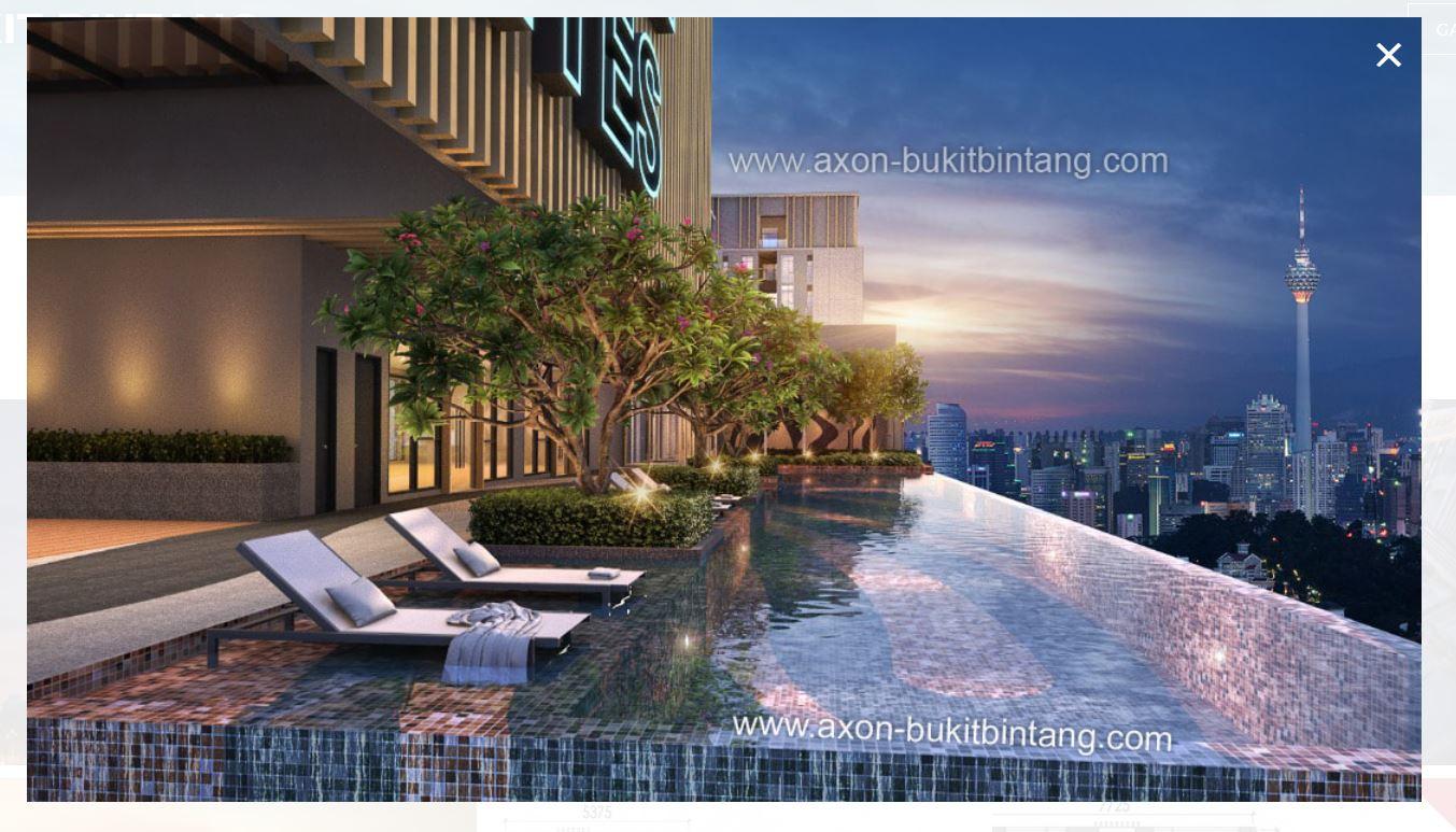 スリーピング ライオン スイーツ 写真