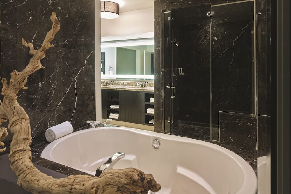 W ラスベガス 写真