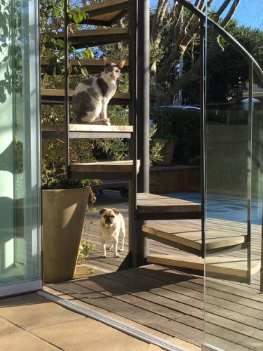 Hedge House Guest House 写真