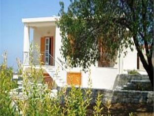 アーント マリアズ 写真