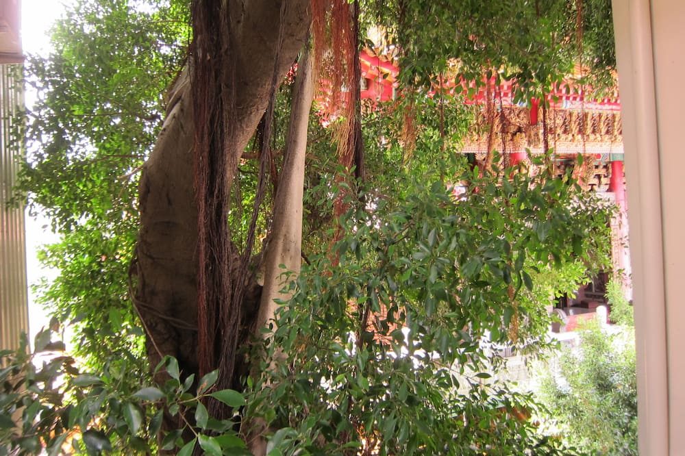 シェンノン 147 ホステル (神榕147民宿) 写真