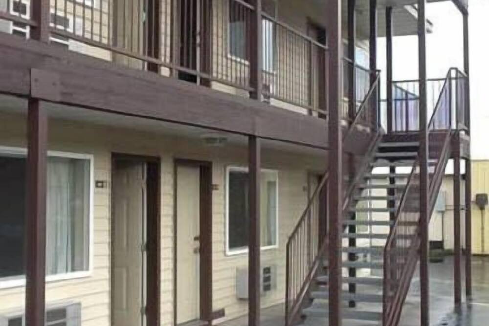 デュード & ラウンドアップ 写真