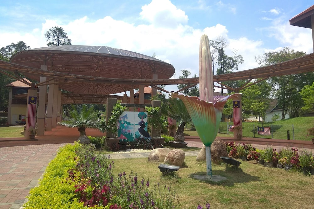 コンコルド ホテル シャー アラム 写真