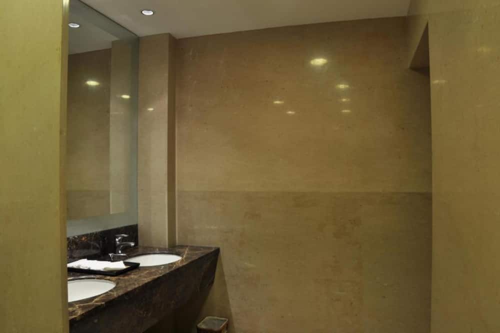 アダルシュ ハミルトン ホテル 写真