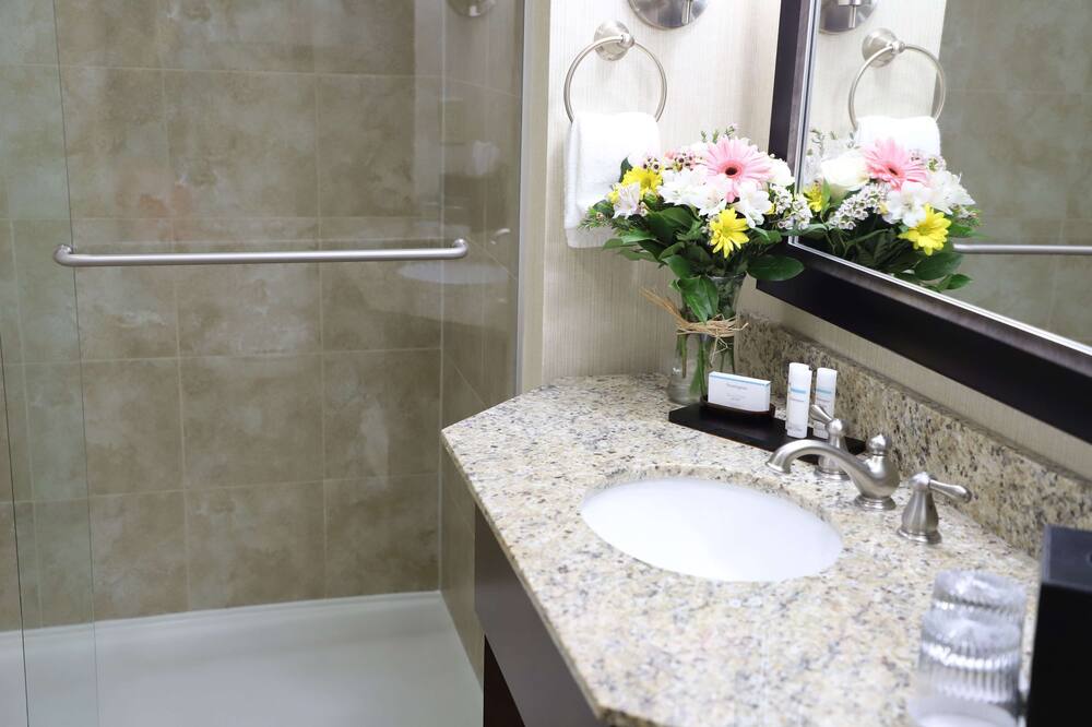 Embassy Suites by Hilton Nashville at Vanderbilt 写真