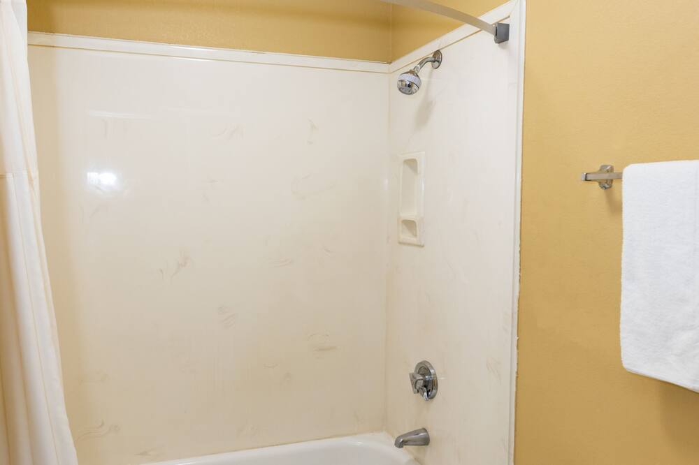 シェルビー イン 写真