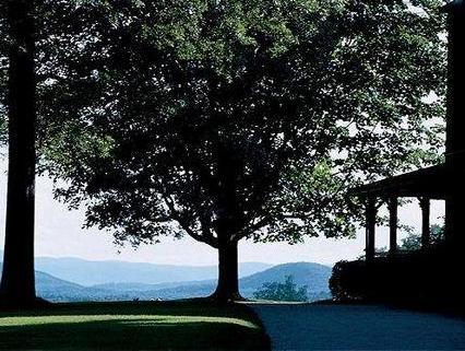 ザ レッド ライオン イン 写真