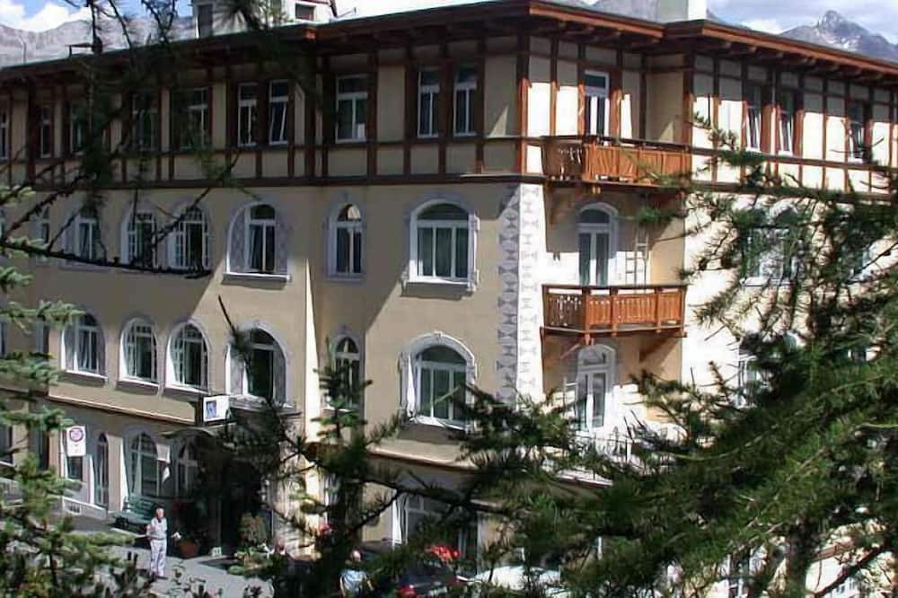 ソルダネラ 写真