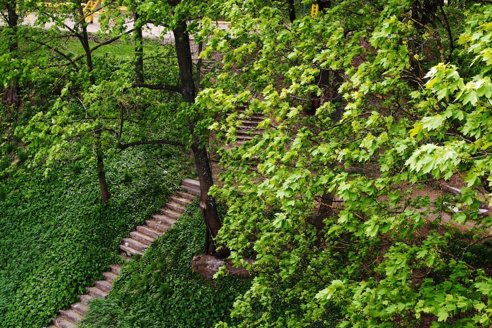 バークレー ホテル 写真