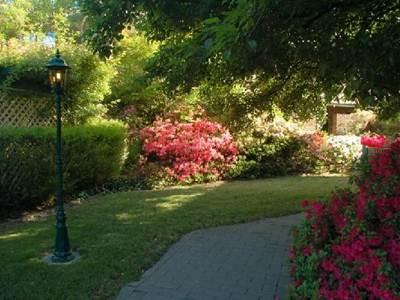 Adina Serviced Apartments Canberra Kingston 写真