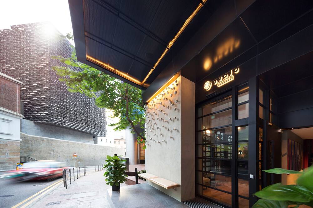 オボロ セントラル 写真