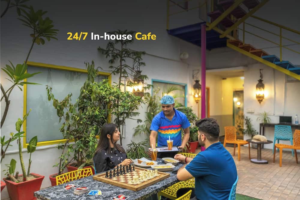 ゴーストップス デリー 写真