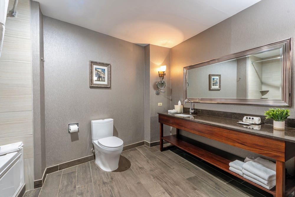 ウィンダム ガーデン バロンヌ プラザ ニューオリンズ 写真