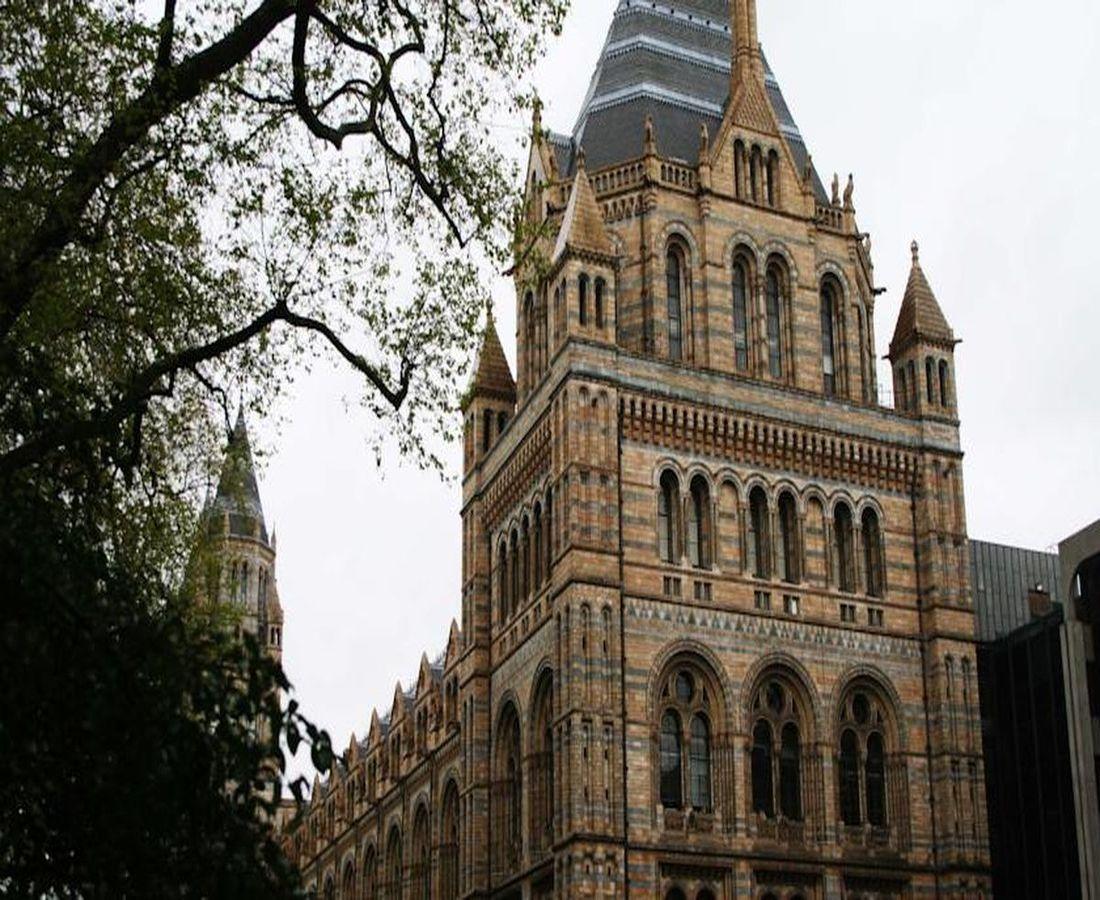 チェルシー クロイスターズ サービスト アパートメンツ 写真