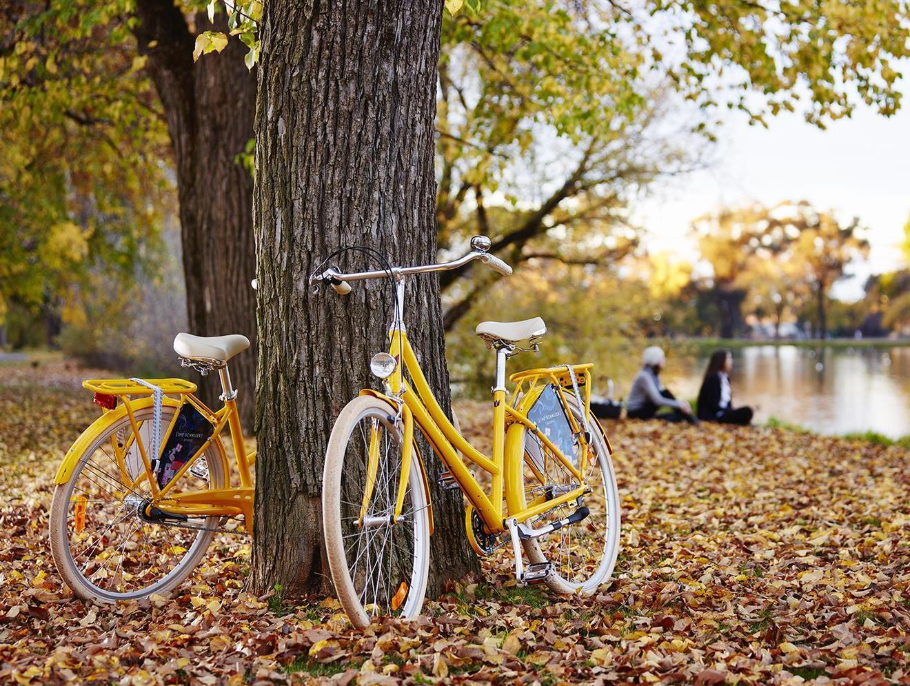 Mercure Bendigo Schaller 写真