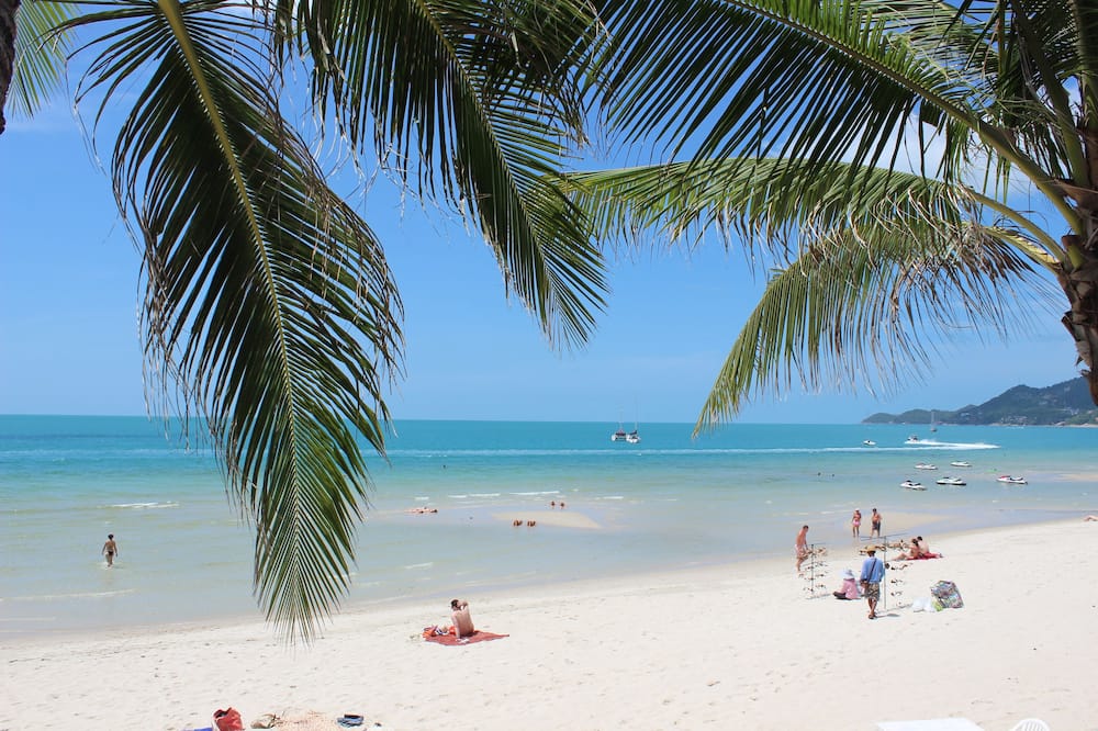 バナナ ファン シー リゾート 写真