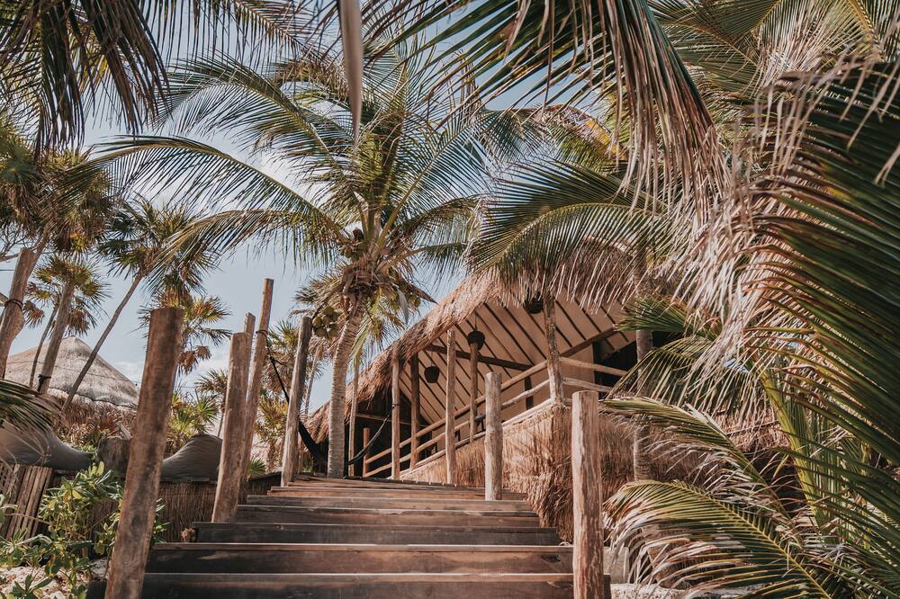 パパヤ プラヤ プロジェクト 写真