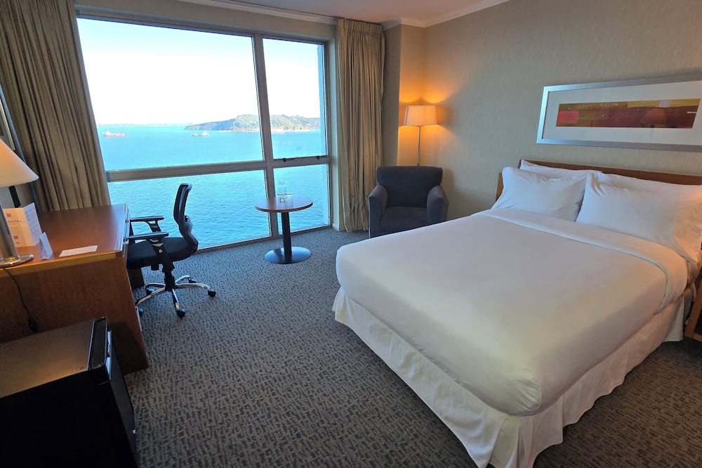 ノボテル プエルト モント 写真