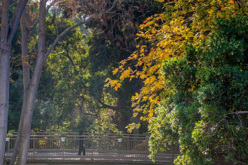 クリークサイド イン 写真