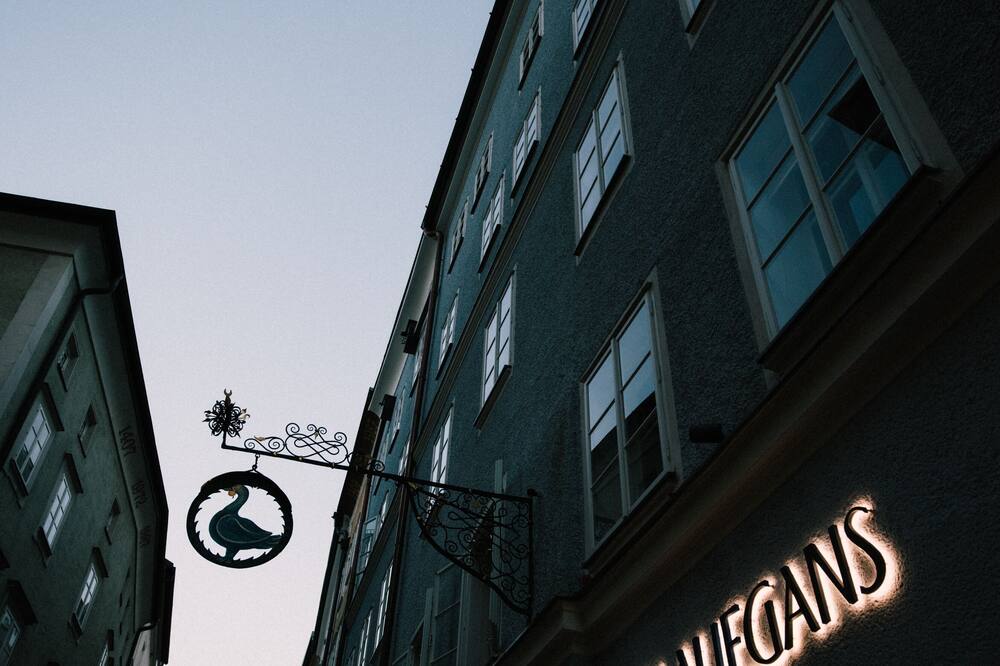 Arthotel Blaue Gans 写真