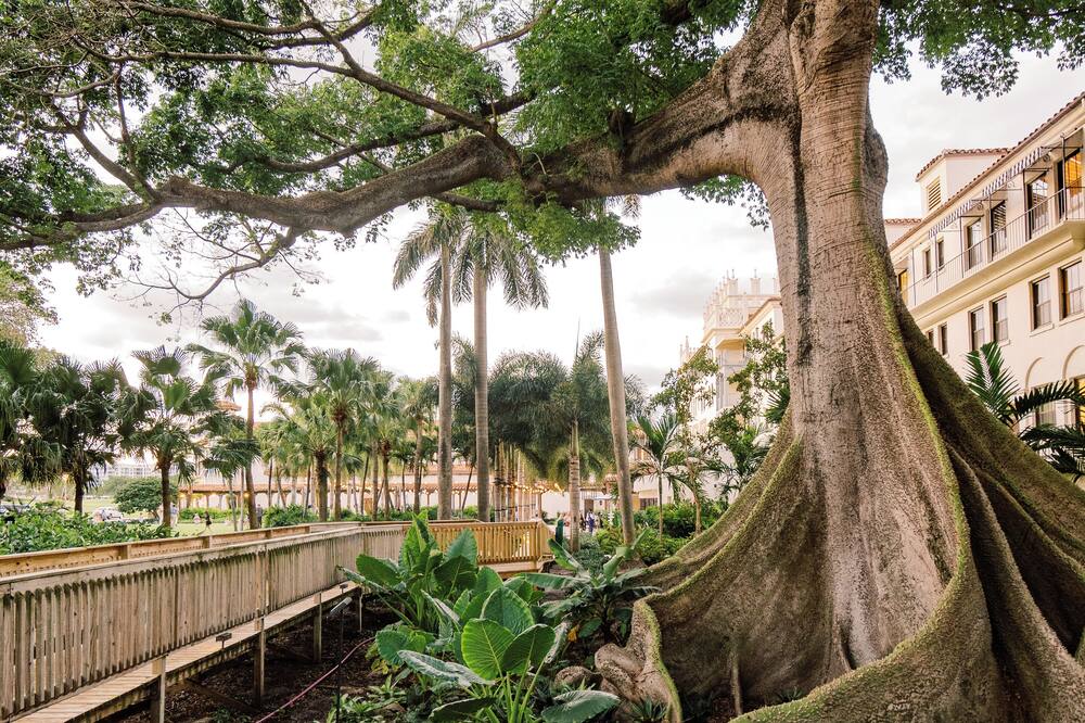 クロイスター アット ザ ボカ ラトン 写真