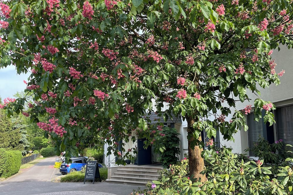 Hotel Grüne Tanne 写真