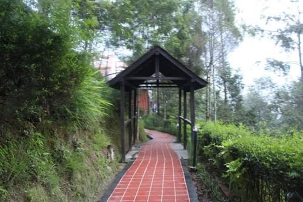 ホテル チャウウタリ ナガルコット 写真