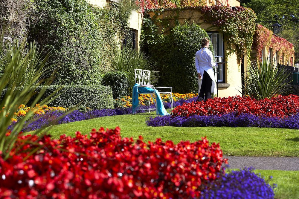 The Dunraven, Adare 写真