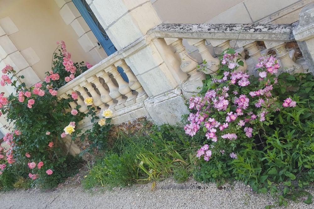 ラ ロズレ 写真