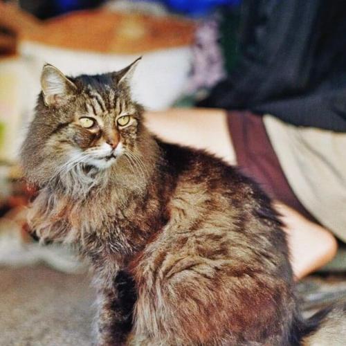 Raglan Backpackers 写真