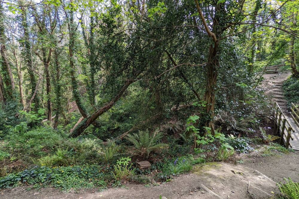 サマーフィールズ ハウス 写真