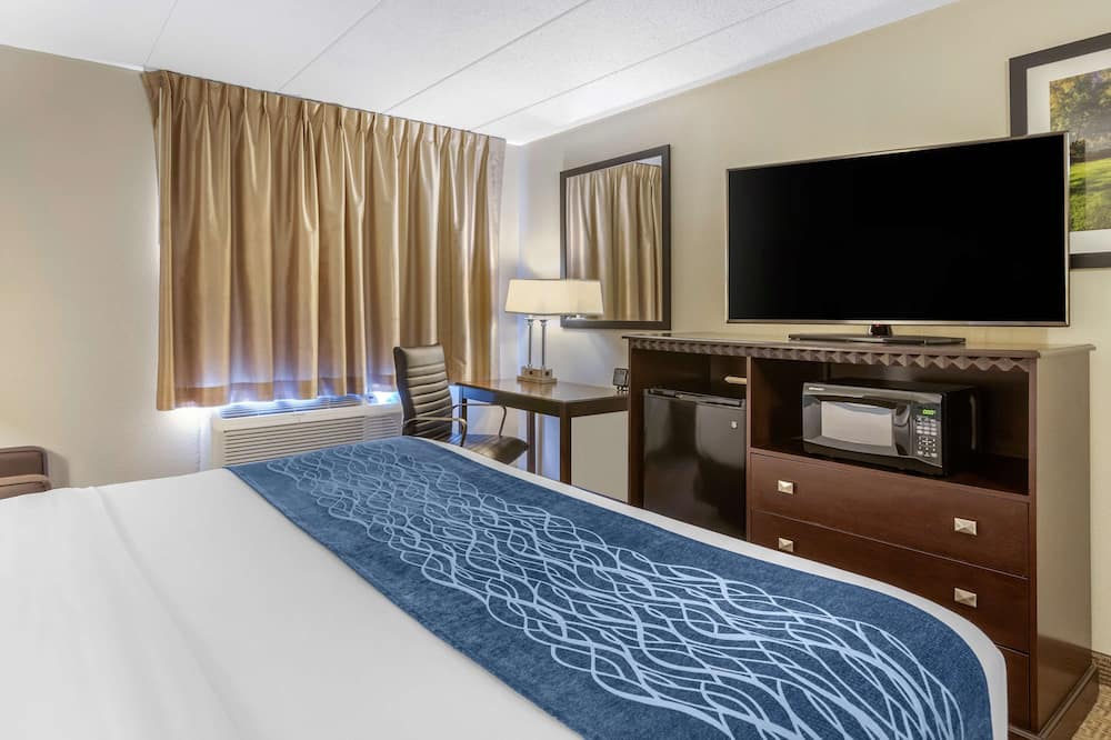 コンフォート  イン グランド ラピッズ エアポート 写真