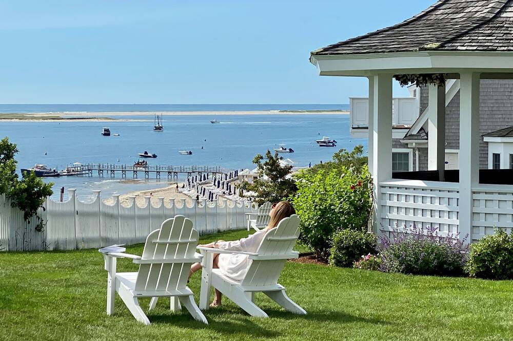 チャタム バーズ イン 写真